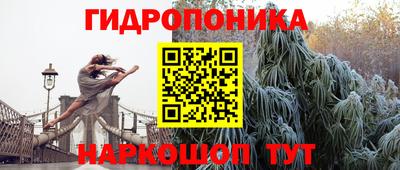 тгк Пугачёв