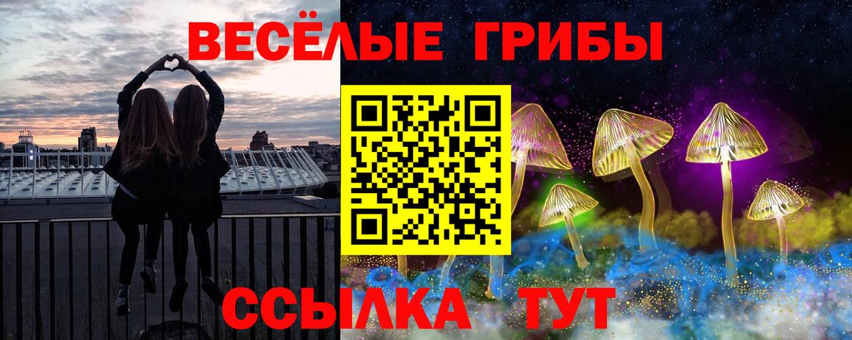 Галлюциногенные грибы MAGIC MUSHROOMS  Галлюциногенные грибы мухоморы  Солнечногорск  наркотики  Вход с VPN 